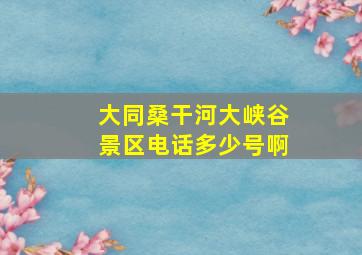 大同桑干河大峡谷景区电话多少号啊