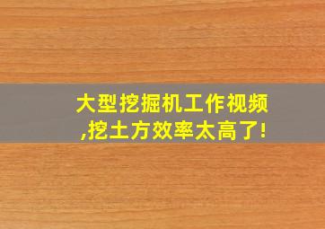 大型挖掘机工作视频,挖土方效率太高了!