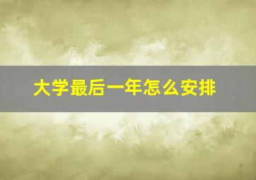 大学最后一年怎么安排