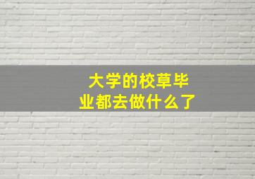 大学的校草毕业都去做什么了