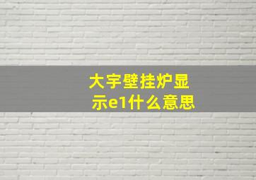 大宇壁挂炉显示e1什么意思