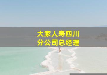 大家人寿四川分公司总经理