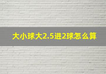 大小球大2.5进2球怎么算