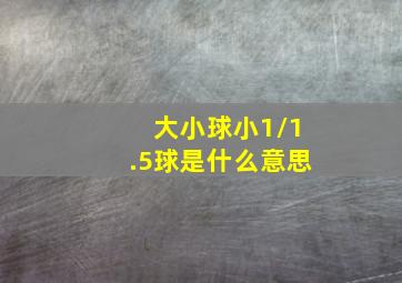 大小球小1/1.5球是什么意思