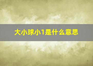 大小球小1是什么意思