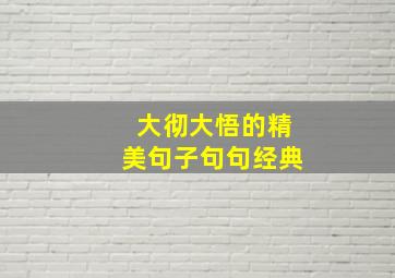 大彻大悟的精美句子句句经典