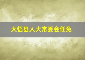 大悟县人大常委会任免