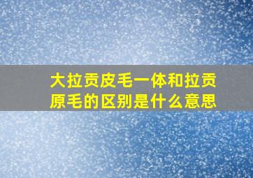 大拉贡皮毛一体和拉贡原毛的区别是什么意思