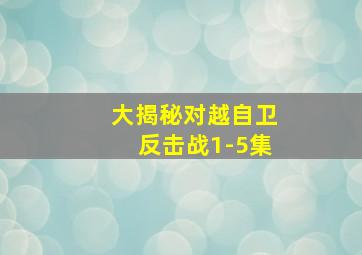 大揭秘对越自卫反击战1-5集