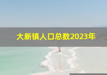 大新镇人口总数2023年