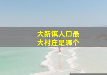 大新镇人口最大村庄是哪个