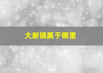 大新镇属于哪里