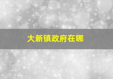 大新镇政府在哪