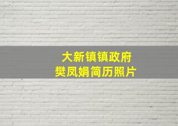 大新镇镇政府樊凤娟简历照片