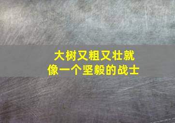 大树又粗又壮就像一个坚毅的战士