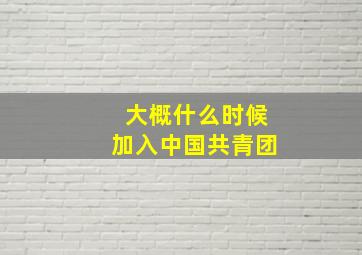 大概什么时候加入中国共青团