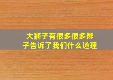 大狮子有很多很多辫子告诉了我们什么道理