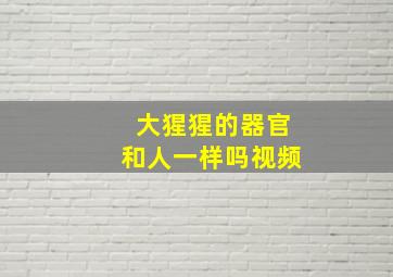 大猩猩的器官和人一样吗视频