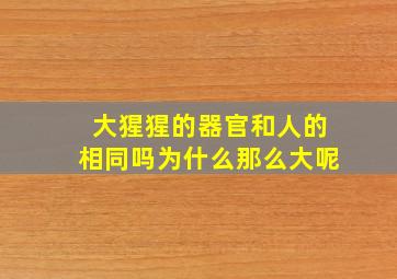 大猩猩的器官和人的相同吗为什么那么大呢