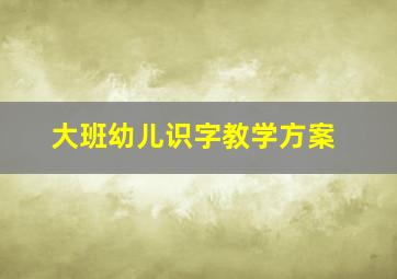 大班幼儿识字教学方案