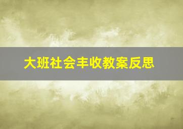 大班社会丰收教案反思