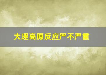 大理高原反应严不严重