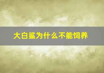 大白鲨为什么不能饲养