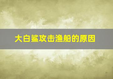 大白鲨攻击渔船的原因