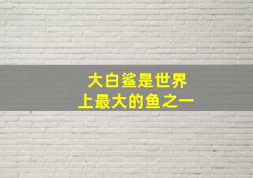 大白鲨是世界上最大的鱼之一