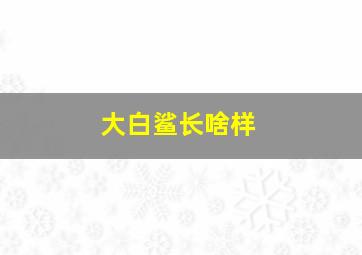 大白鲨长啥样