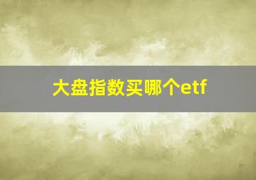 大盘指数买哪个etf