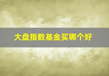 大盘指数基金买哪个好