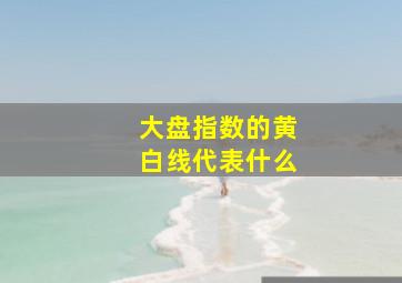 大盘指数的黄白线代表什么