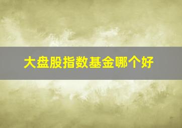 大盘股指数基金哪个好