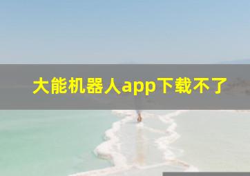 大能机器人app下载不了