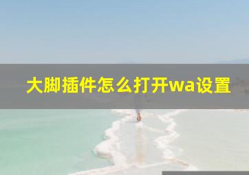 大脚插件怎么打开wa设置