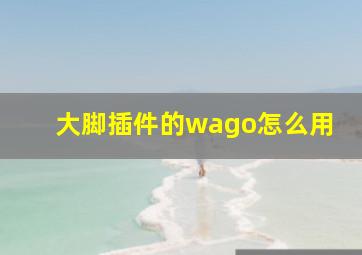 大脚插件的wago怎么用