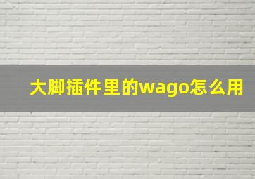 大脚插件里的wago怎么用