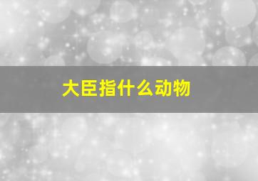 大臣指什么动物