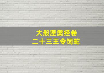 大般涅槃经卷二十三王令饲蛇