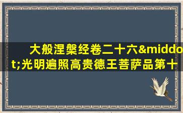 大般涅槃经卷二十六·光明遍照高贵德王菩萨品第十之六