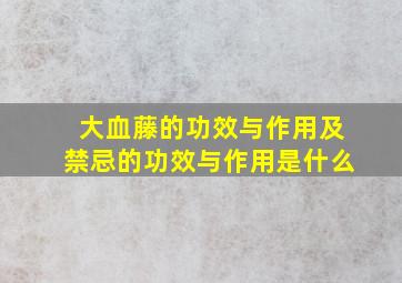 大血藤的功效与作用及禁忌的功效与作用是什么