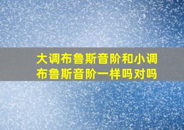 大调布鲁斯音阶和小调布鲁斯音阶一样吗对吗