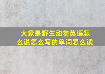 大象是野生动物英语怎么说怎么写的单词怎么读