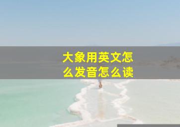 大象用英文怎么发音怎么读