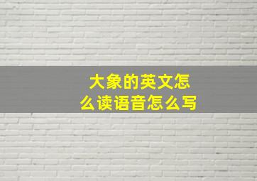 大象的英文怎么读语音怎么写