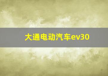 大通电动汽车ev30