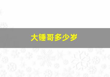 大锤哥多少岁