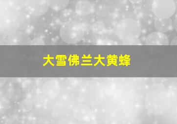 大雪佛兰大黄蜂