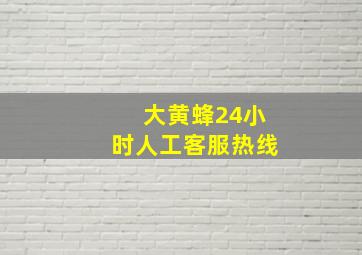 大黄蜂24小时人工客服热线